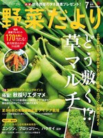 野菜だより